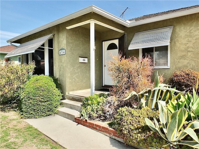 view of exterior entry featuring stucco siding