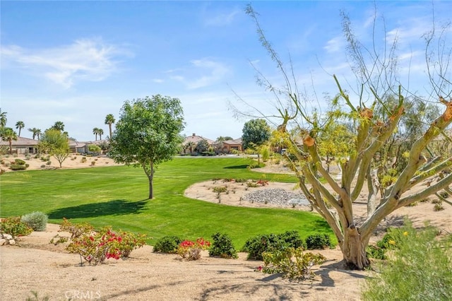 view of property's community featuring a lawn