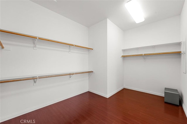 walk in closet featuring wood finished floors