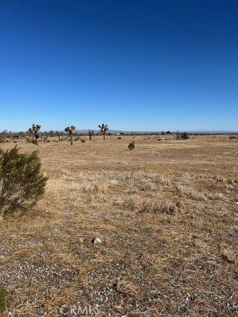 view of local wilderness with a rural view