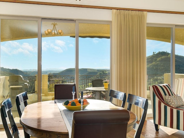 dining area featuring wood finished floors and a mountain view