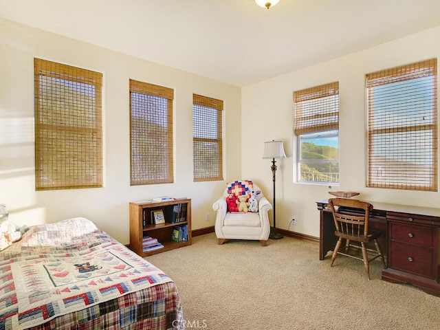 bedroom featuring baseboards and light colored carpet