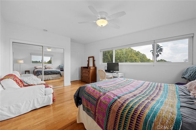 bedroom with a closet, multiple windows, ceiling fan, and wood finished floors