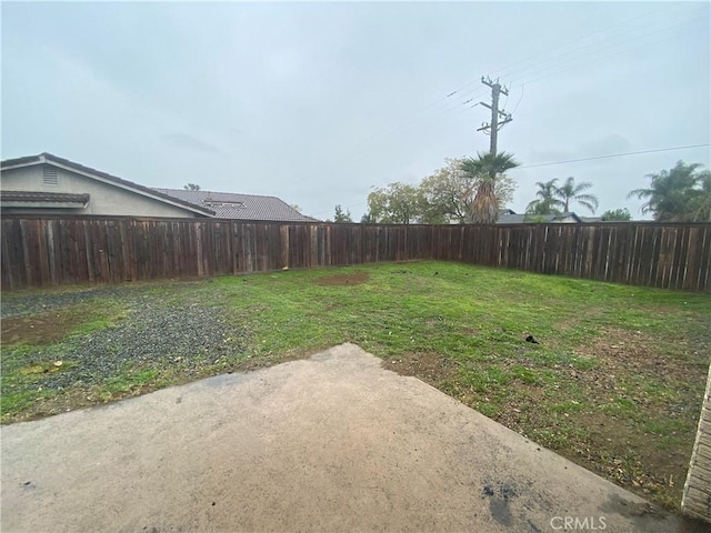 view of yard with a patio and a fenced backyard