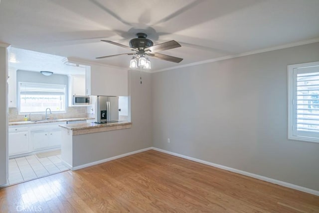 kitchen featuring a sink, light wood-type flooring, appliances with stainless steel finishes, and a wealth of natural light