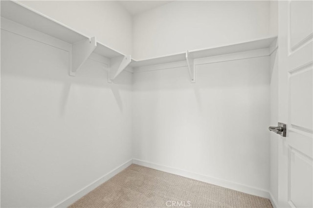 walk in closet featuring light carpet