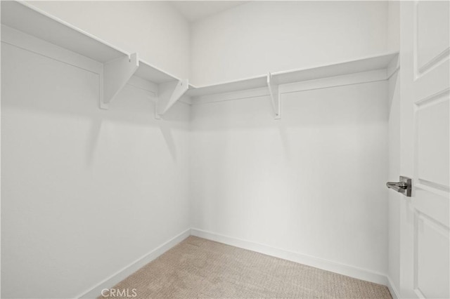 spacious closet with light carpet