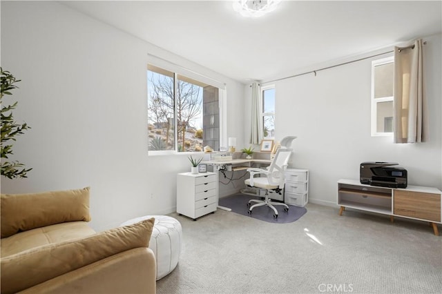 office featuring carpet and baseboards