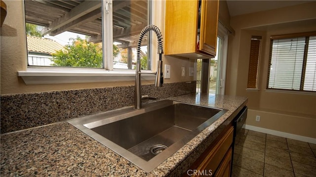 details featuring baseboards, black dishwasher, stone counters, brown cabinetry, and a sink