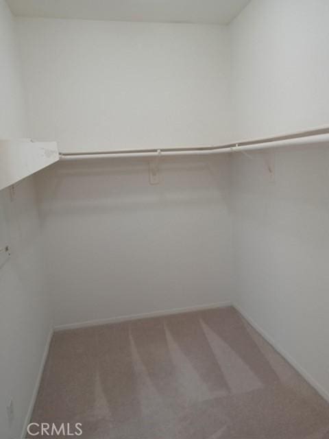 walk in closet featuring carpet flooring