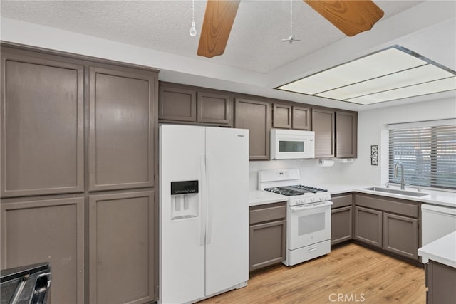 kitchen featuring ceiling fan, white appliances, light wood finished floors, and a sink