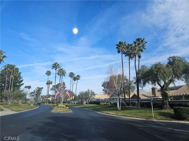 view of street with curbs