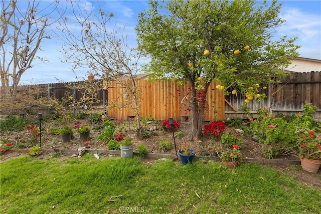 view of yard with a vegetable garden and a fenced backyard