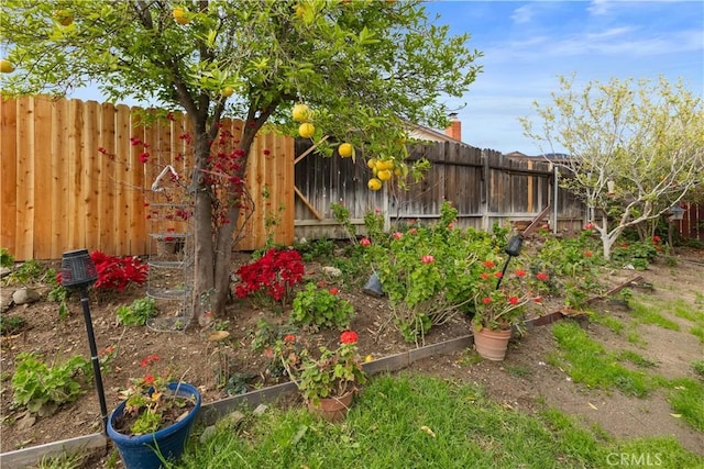 view of yard featuring a fenced backyard and a vegetable garden