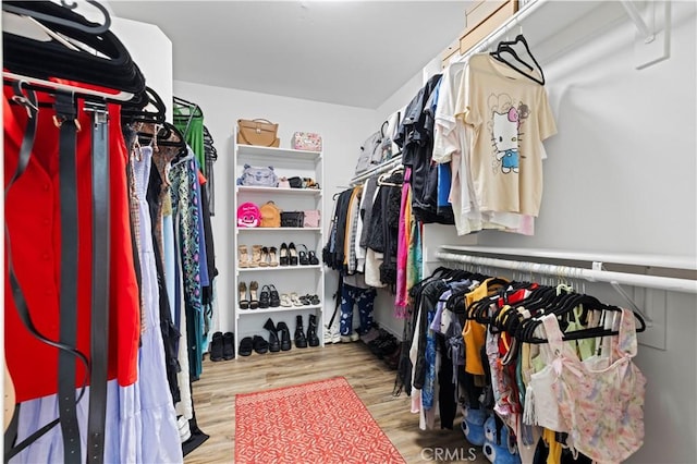 walk in closet with wood finished floors