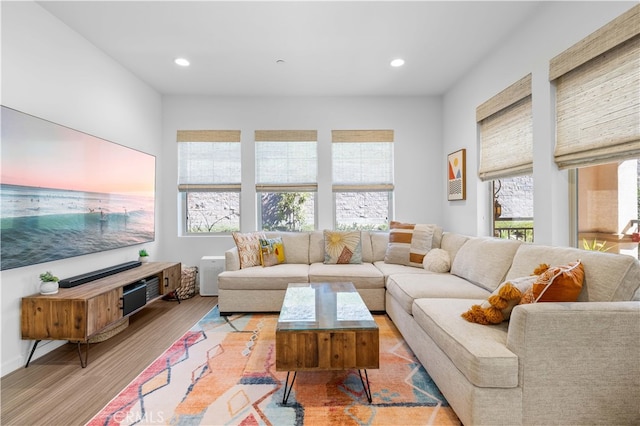 living area featuring recessed lighting and wood finished floors