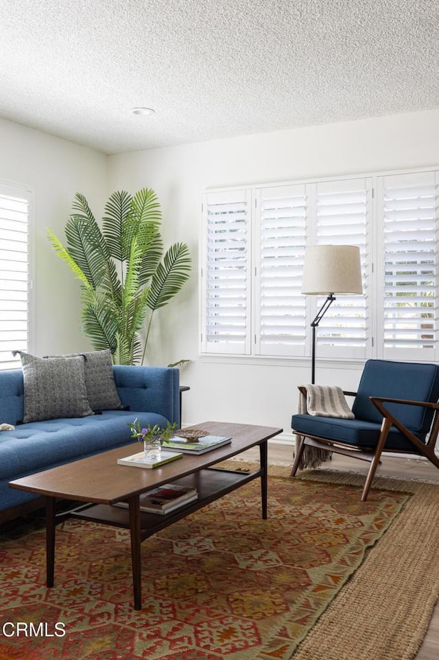 living room featuring a textured ceiling