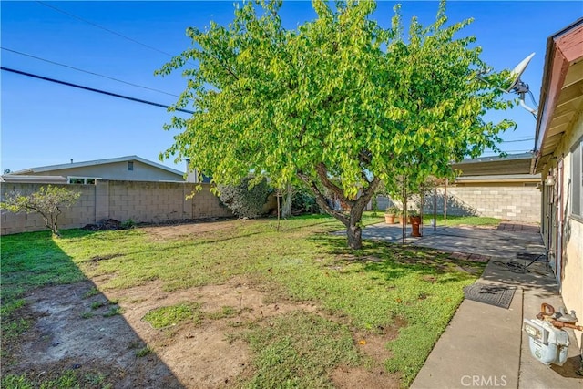 view of yard with a patio area and a fenced backyard