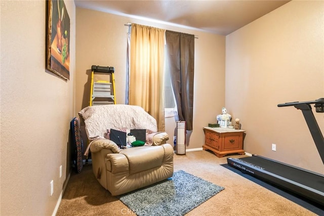 living area featuring baseboards and carpet floors