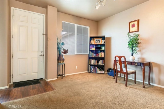 entrance foyer with track lighting, baseboards, and carpet floors