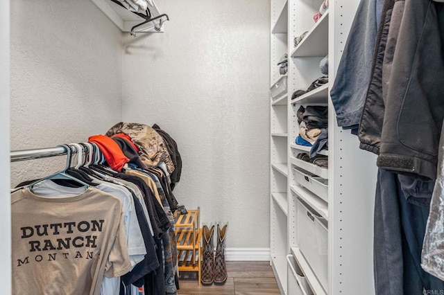 spacious closet featuring wood finished floors