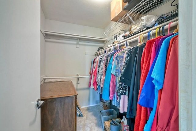 walk in closet featuring carpet flooring