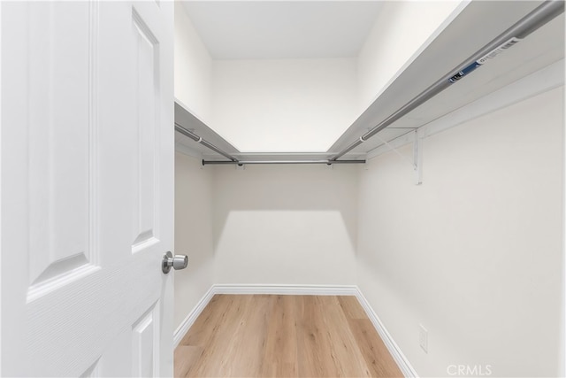 walk in closet featuring light wood finished floors