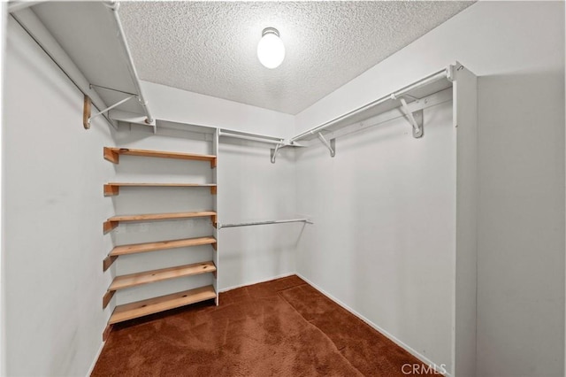 walk in closet with carpet