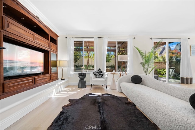 bedroom with access to exterior, crown molding, wood finished floors, and baseboards