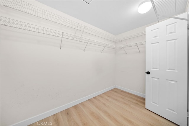 walk in closet with light wood-style flooring