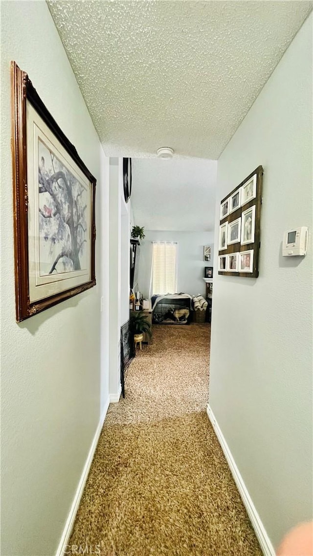 hall with a textured ceiling, baseboards, and carpet floors