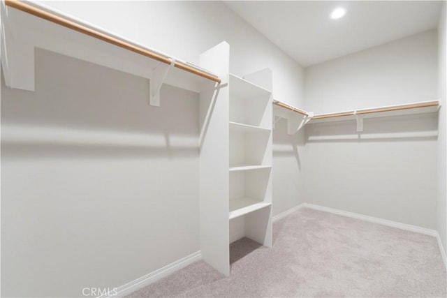 spacious closet with carpet flooring