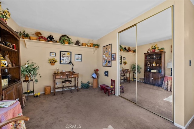 miscellaneous room featuring carpet floors