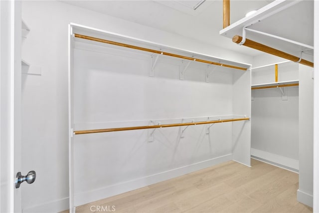 walk in closet featuring light wood finished floors