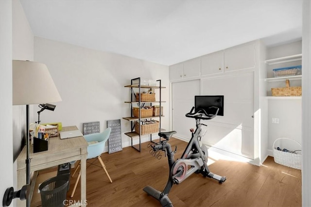 workout room featuring wood finished floors