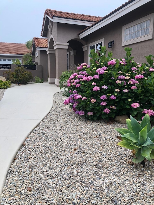 view of home's exterior featuring stucco siding and a tile roof