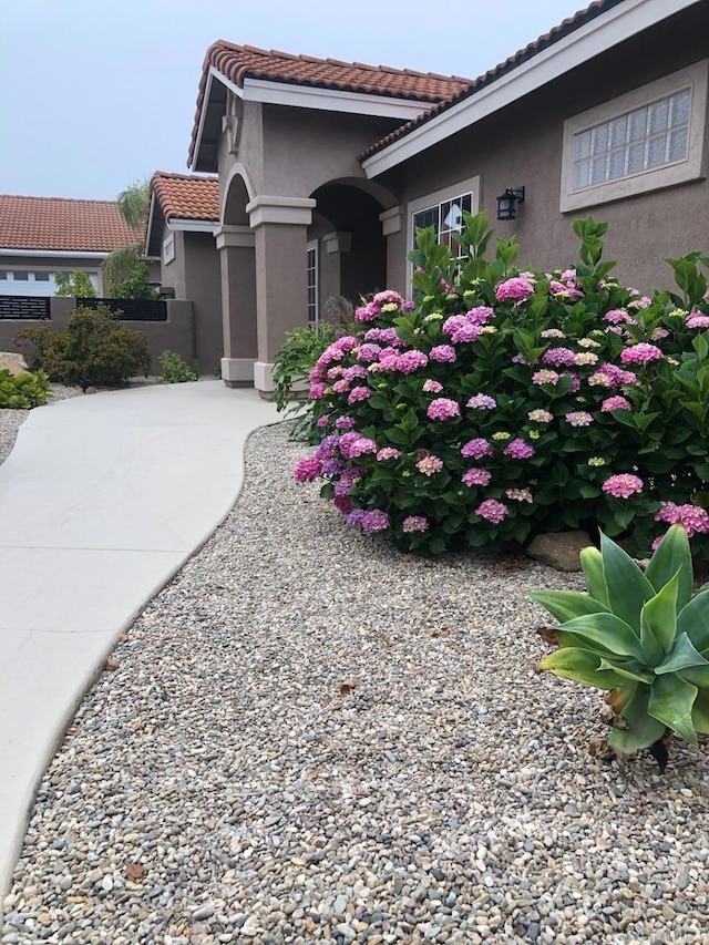 1185 Cedar Summit Dr, Ramona, CA 92065 - view of home's exterior featuring stucco siding, a tile roof, and driveway