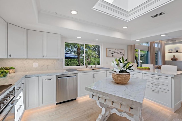 kitchen featuring a healthy amount of sunlight, stainless steel appliances, and a raised ceiling