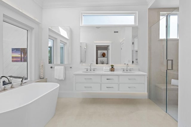 bathroom featuring double vanity, a soaking tub, a shower stall, and a sink