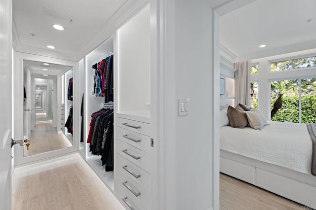 spacious closet featuring light wood-style flooring