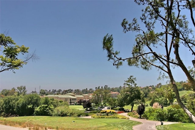 view of community featuring a lawn