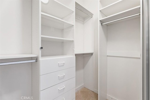 view of spacious closet