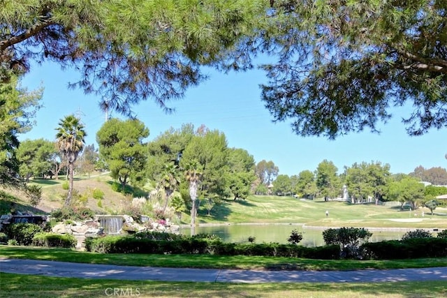 view of community with a yard and a water view