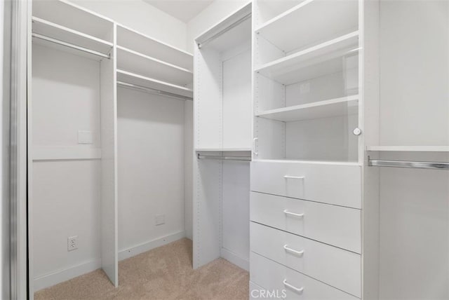 spacious closet with light colored carpet