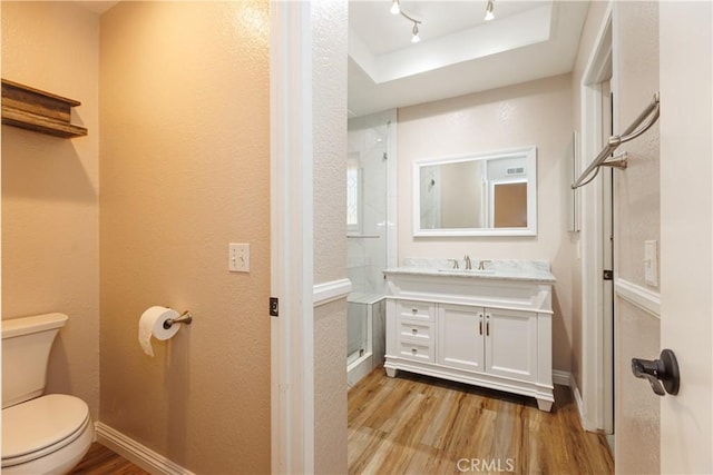 bathroom featuring baseboards, toilet, a tray ceiling, wood finished floors, and vanity