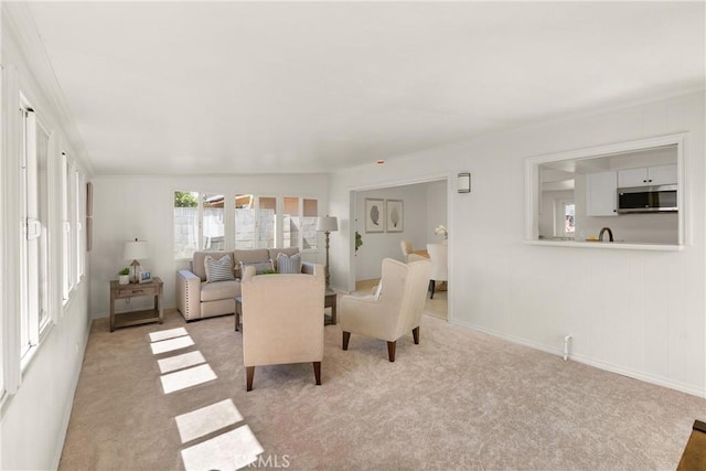 living room featuring carpet flooring