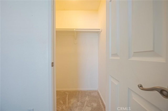 walk in closet featuring carpet floors