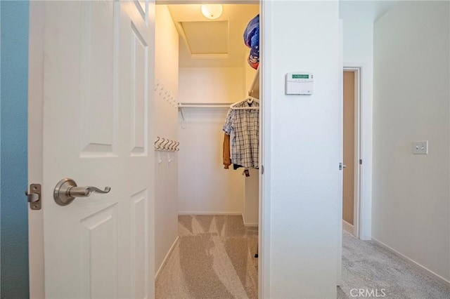 spacious closet featuring attic access and carpet flooring