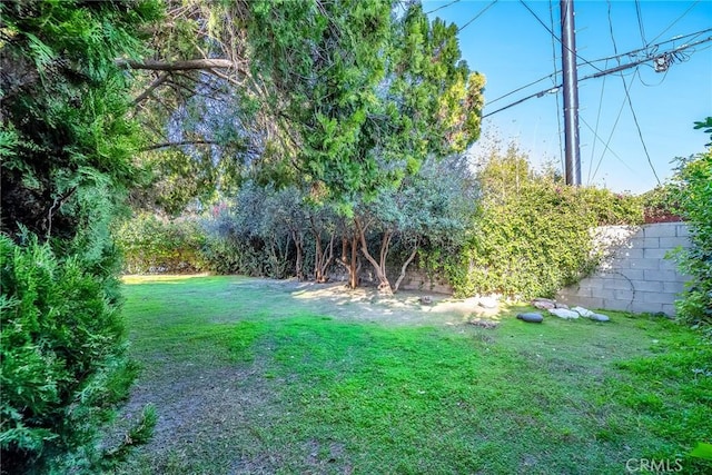 view of yard featuring fence