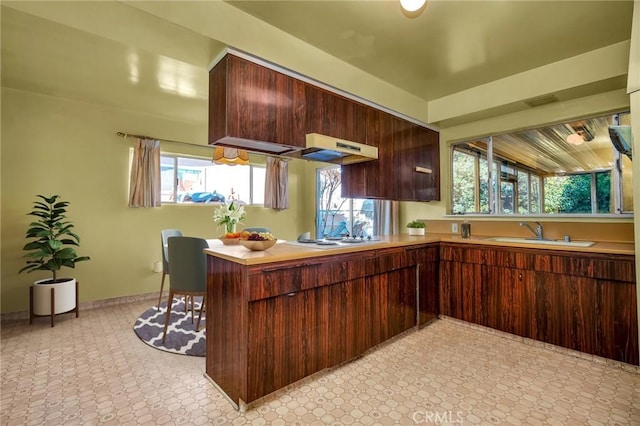 kitchen featuring electric cooktop, light floors, under cabinet range hood, and a sink